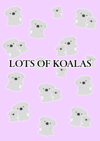LOTS OF KOALAS-PURPLE PINK