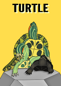 TURTLE -Shrimp Paradise-