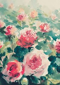 Beautiful rose flower(R4601)