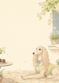 Saluki Lime Canele Garden Window
