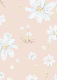 Cosmos-Art -pink-