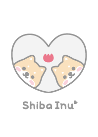 Shiba Inu Tulips - White