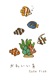 我養的海水魚(純白色)