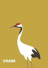 Crane birds