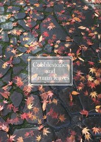 Cobblestones and autumn leaves.