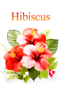 "Hibiscus vol.2" theme