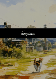 Calico cat walking on black