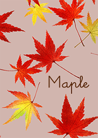 Maple -Autumn garden-