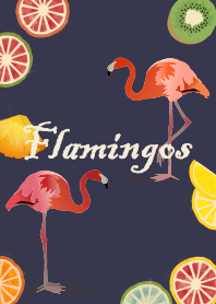 Flamingos + indigo blue