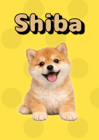 Tema Boneka Shiba Inu Yellow 02
