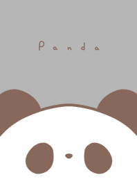 Panda /gray beige BR