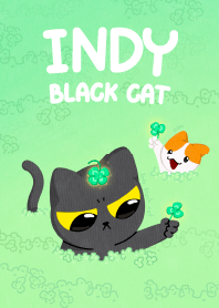 INDY black cat [Lucky Clover]