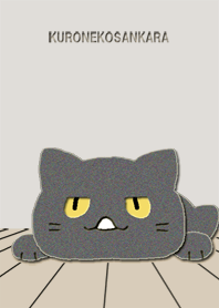 From black cat.