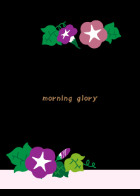 Morning glory flower day black JP