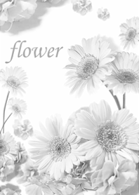 Gerbera wrapped in gentle happiness20
