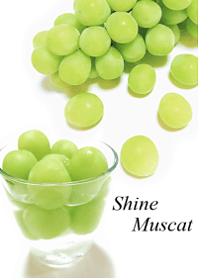 My favorite, the Shine Muscat7.