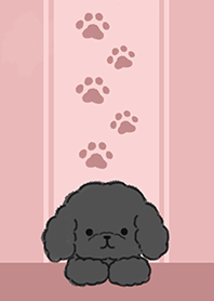 black toy poodle smile