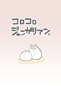 コロコロジャンガリアンハムスター