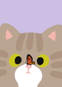 tabby cat with crossed eyes_purple1