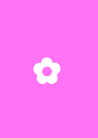 Flower Pink White