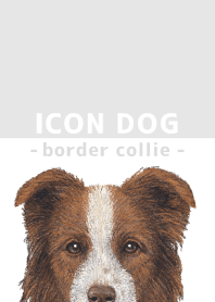 ICON DOG - ボーダーコリー - GRAY/04