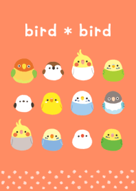 bird*bird
