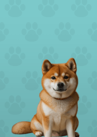 Cute Shibainu Theme Beige 04