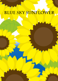 Blue sky sunflower
