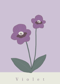 Violet flower