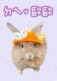ㄉㄟˇ歐歐
