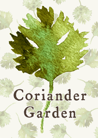 Coriander garden-natural-