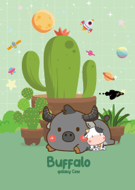 น้องวัวควาย กระบองเพชร คาวาอี้