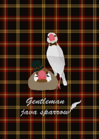 Gentlemanly Java sparrow