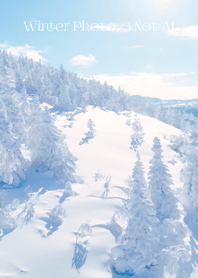 Winter Photo #3-5 Not AI