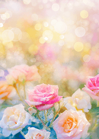 Beautiful rose flower(R1639)