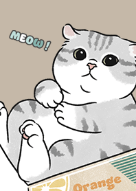 neko single15 / dark tan