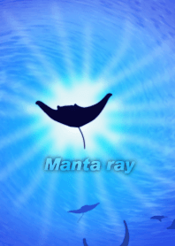 Sea swim Manta ray
