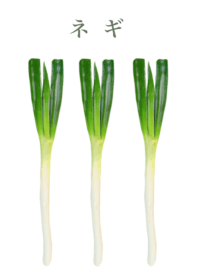 おいしい ネギ　11