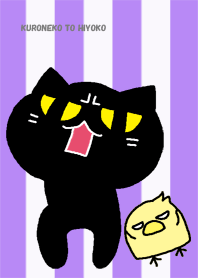 Black cat and chick