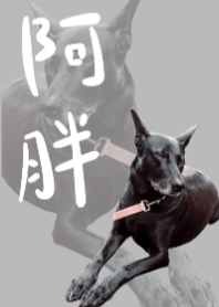 Please call me Fatty