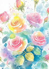 Beautiful rose flower(R4269)