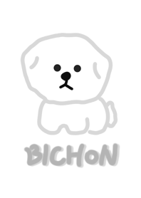 Lovely Bichon