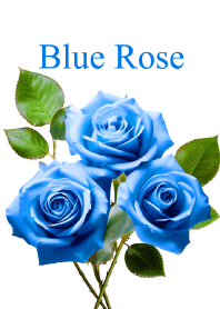"Blue Rose vol.4" theme