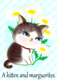 A kitten and marguerites1,again.