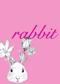 rabbit ! rabbit ! rabbit !