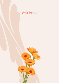 December's birth flower,Gerbera