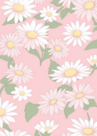 soft colored daisies