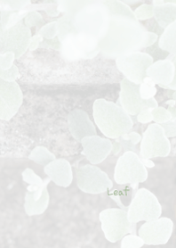 Leaf Theme 8