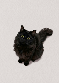 Black Cat Brown beige theme