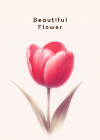Beautiful Flower-RED TULIP 5